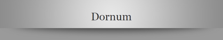 Dornum