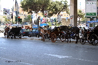 Palermo 05