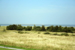 Am Strand 07