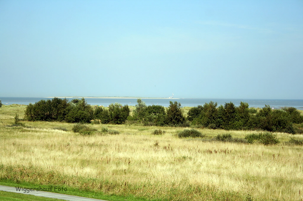 Am Strand 07