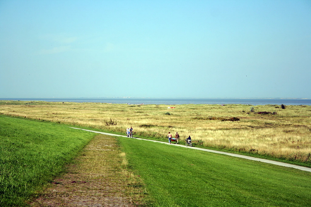Am Strand 10