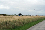 Am Strand 27