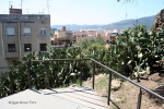 Barcelona Park Gell 04