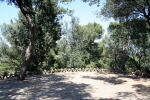 Barcelona Park Gell 11
