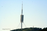 Barcelona Park Gell 16