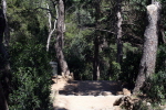 Barcelona Park Gell 22