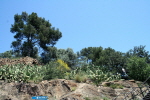 Barcelona Park Gell 25
