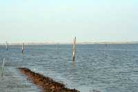 Harlesiel 02