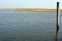 Harlesiel 03