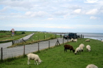 Hooksiel Deich 05