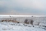 Horumersiel im Winter 03