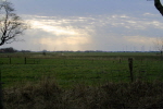 Minsen 05