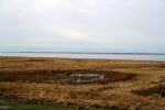 Minsen 08