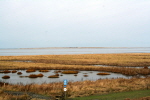 Minsen 09
